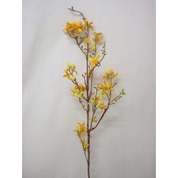 FLOR RAMAS FORSYTHIA...
