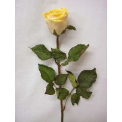 FLOR INDIVIDUAL HOJAS ROSA...