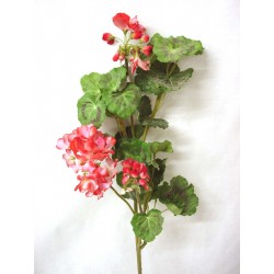 FLOR GERANIO HOJAS ROSA