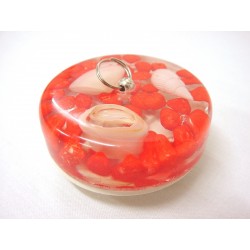 TAPON STANDARD MOLUSCOS...