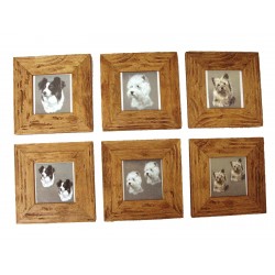 CUADRO MINI LISO HAYA...