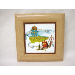 CUADRO MINI LISO HAYA...