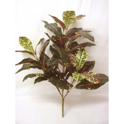 PLANTA CROTON 3 RAMAS VERDE...