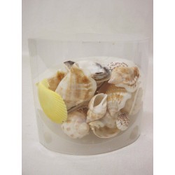 JUEGO 30 MOLUSCOS EN PVC...