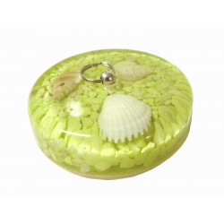 TAPON STANDARD MOLUSCOS...