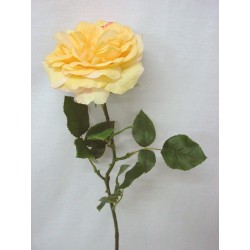 FLOR INDIVIDUAL GRANDE ROSA...