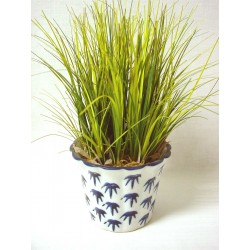 CENTRO CERAMICA BLANCO...