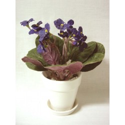 CENTRO MACETA PLATO FLORES...