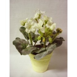 CENTRO MACETA FLORES...