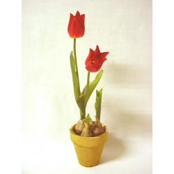 CENTRO MACETA FLORES...