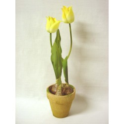 CENTRO MACETA FLORES...