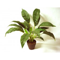 CENTRO MACETA PLANTA...