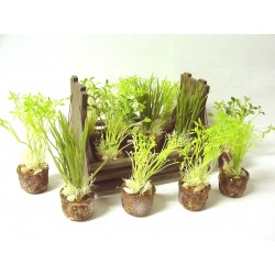 JUEGO 12 MINI MACETAS...