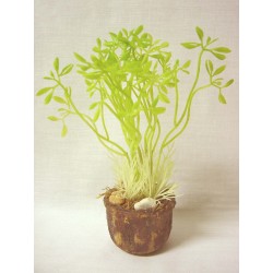 CENTRO MINI MACETA HIERBAS...