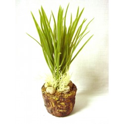 CENTRO MINI MACETA HOJAS...