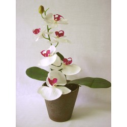 CENTRO MACETA FLOR ORQUIDEA...