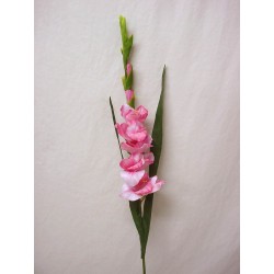 FLOR INDIVIDUAL GLADIOLO ROSA
