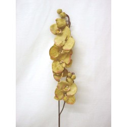 FLOR INDIVIDUAL ORQUIDEA...