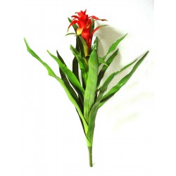 PLANTA HOJA PLASTICO...