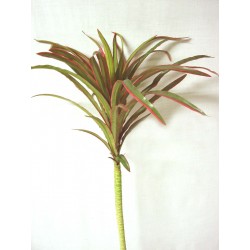 PLANTA PALMERA HOJAS VERDE...