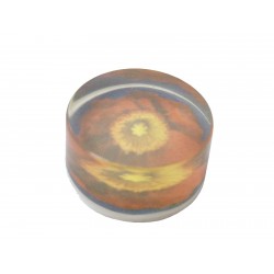 TOPE PARA PUERTA CAPULLO...